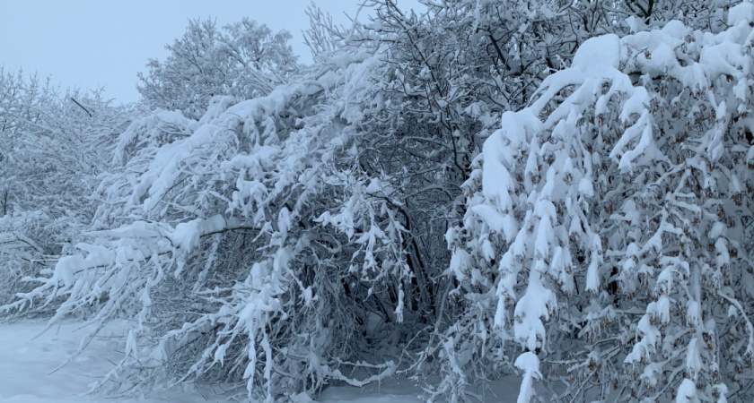    Автор фото — Илья Иваньшин