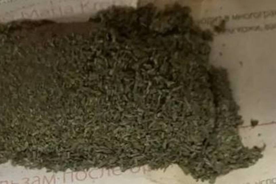    Фото: ГУ МВД России по Волгоградской области