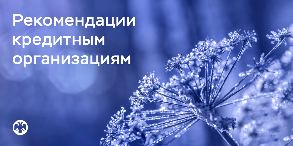 Фото: Shutterstock / darydd