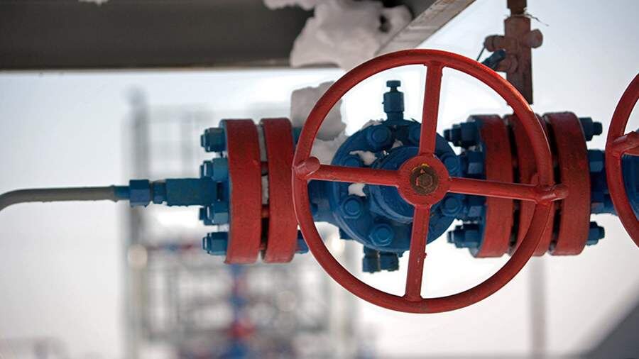    Фото: ИЗВЕСТИЯ/Алексей Белянчев