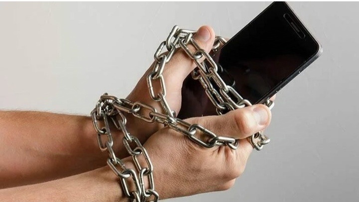 Яндекс картинки