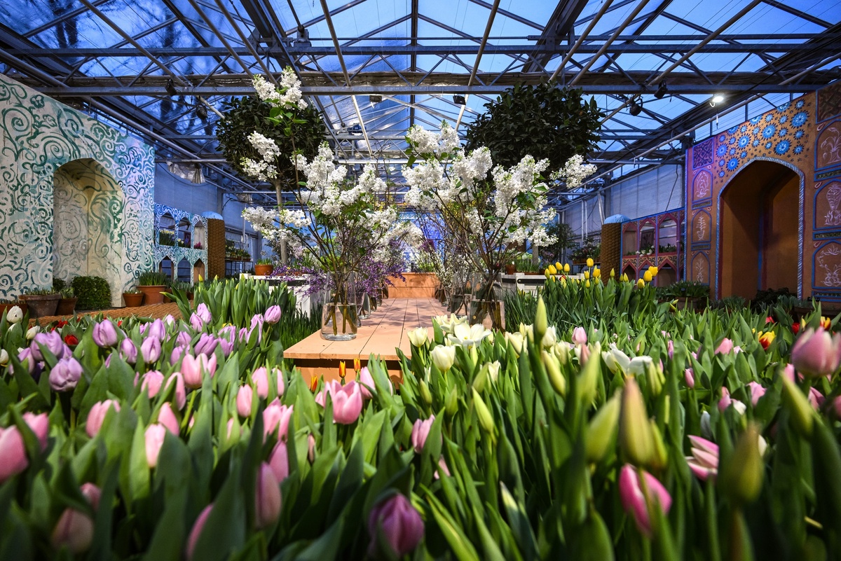    Выставка "Репетиция весны" 2026 в Ботаническом саду МГУ "Аптекарский огород" в Москве. / Кирилл Зыков/РИА Новости