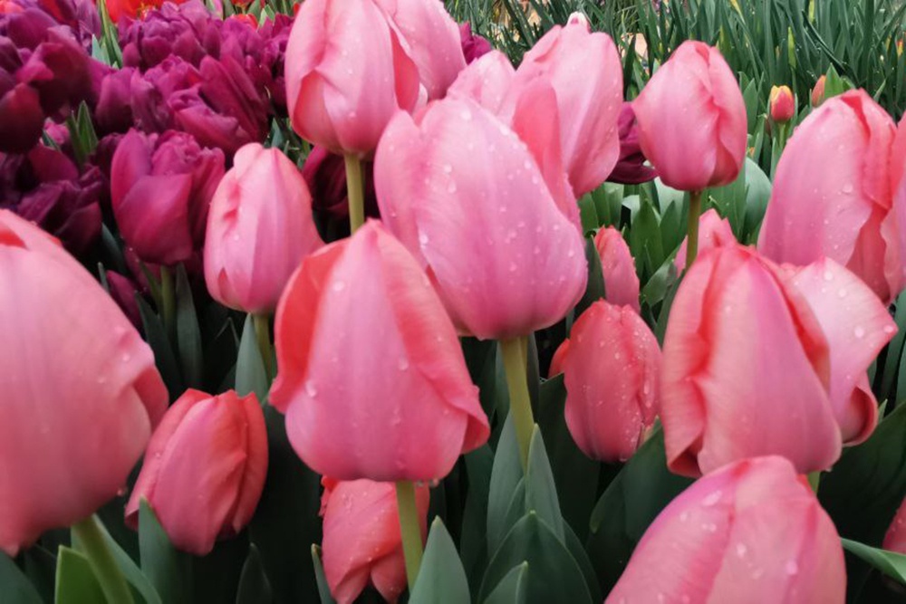    Татьяна Владыкина/РГ