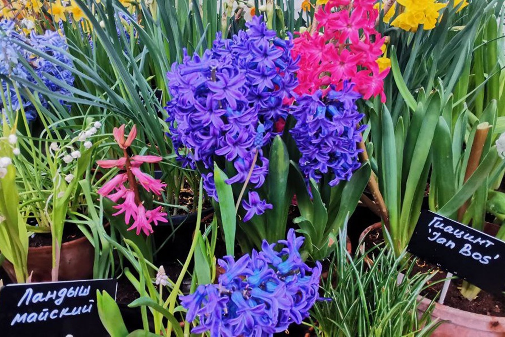    Татьяна Владыкина/РГ