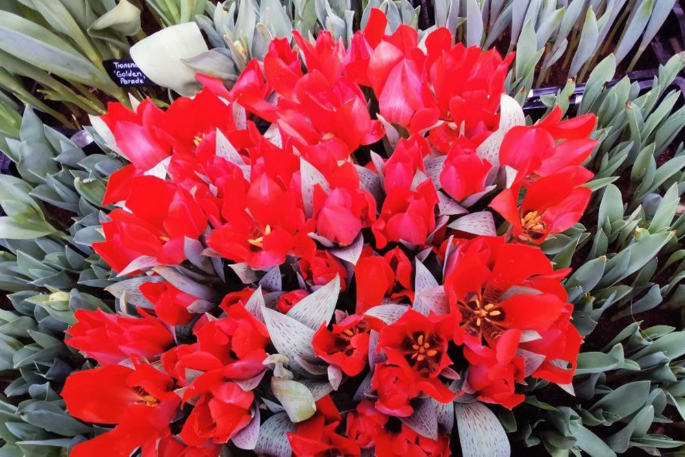    Татьяна Владыкина/РГ