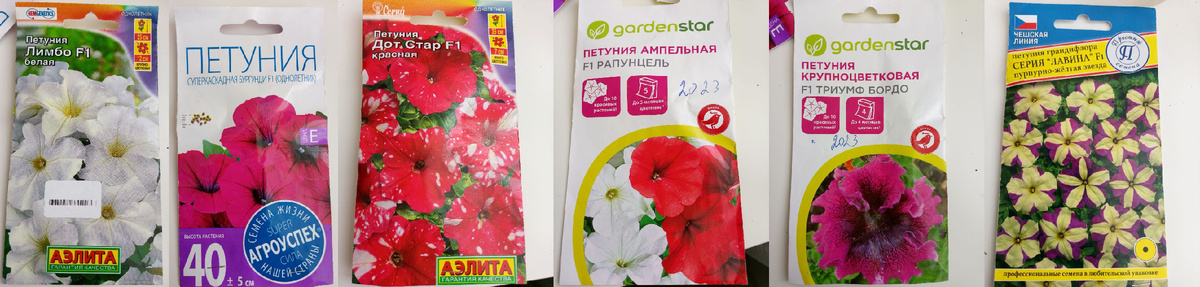 Посадила шесть сортов петуньи