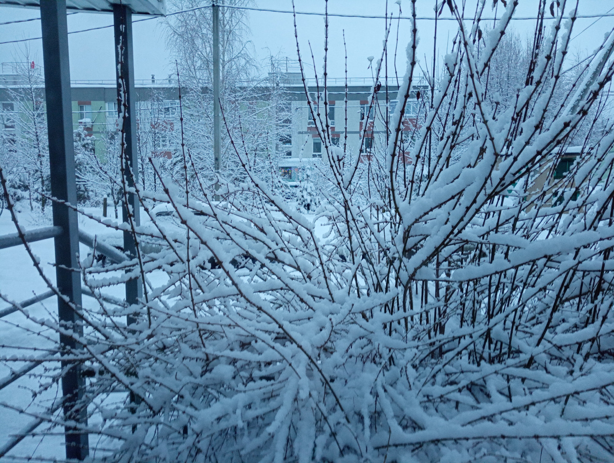 За окном настоящая русская  зима