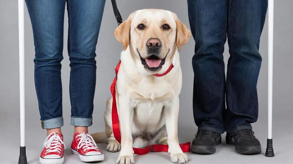    REGIONS/Сгенерировано нейросетью