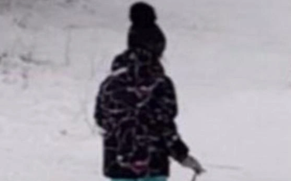 Фото: поисково-спасательный отряд «Сальвар»