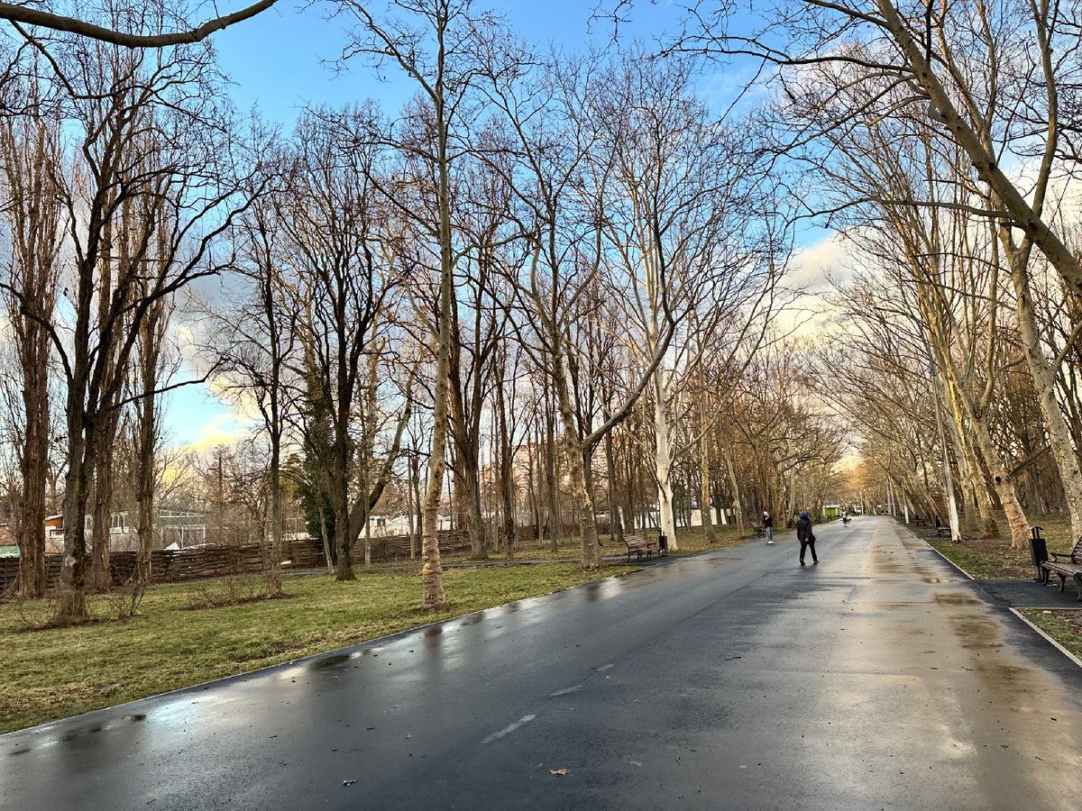 В Краснодаре.