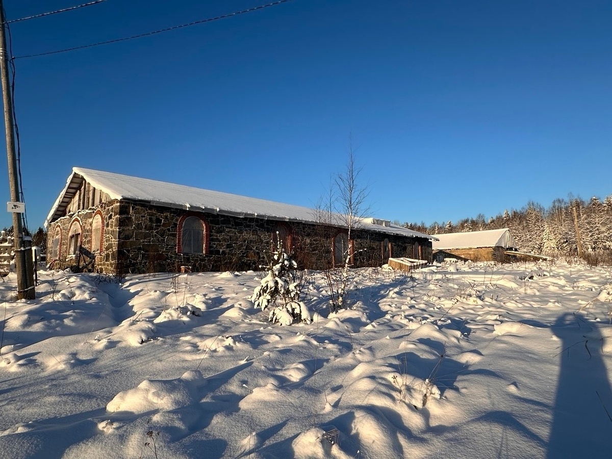    фото: © Минэк Карелии