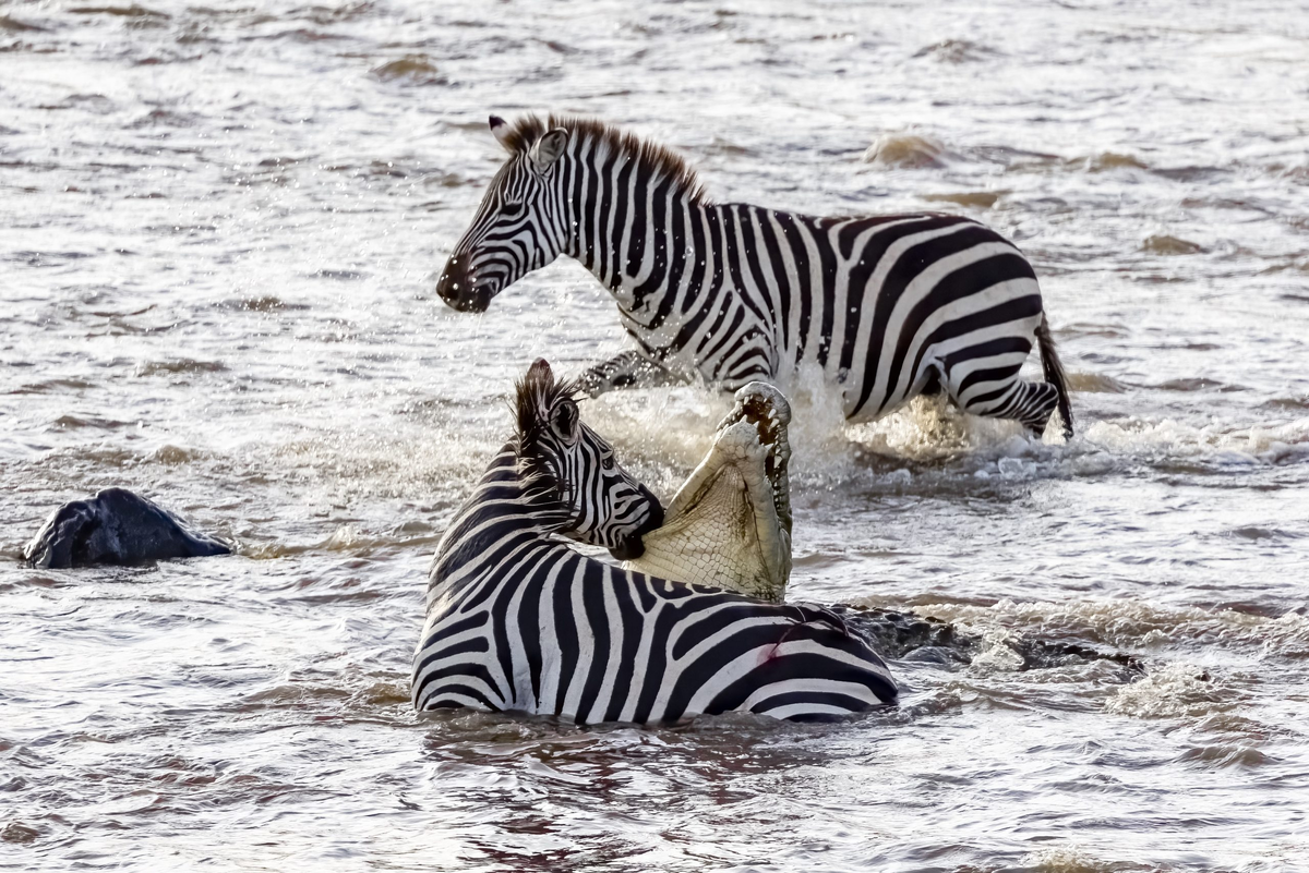 ��� �� ���, ��� �� ���. 