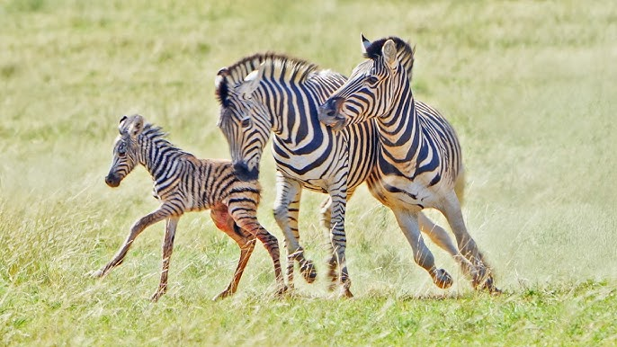 ���� �� � ���� �������, � �� ���� �� ������! 