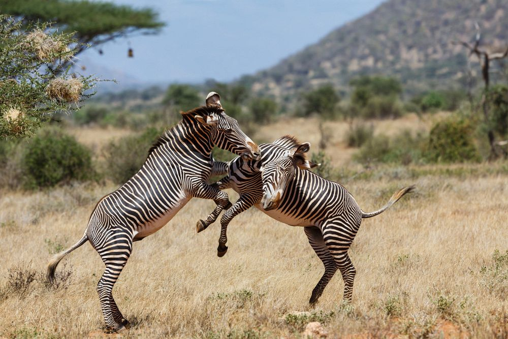 � �������� ����, ���� �����, �� ������� �����. ��� ����� ����������� � �������� ��������� ����������. ����� � ��������� �������� ������������ �� �������, ��������� ������� ������ ��������. ������ ������ �� �������� � ��� �� ����� �������, ��� � ������ ���� �����, ��� ��������� �� ������. 