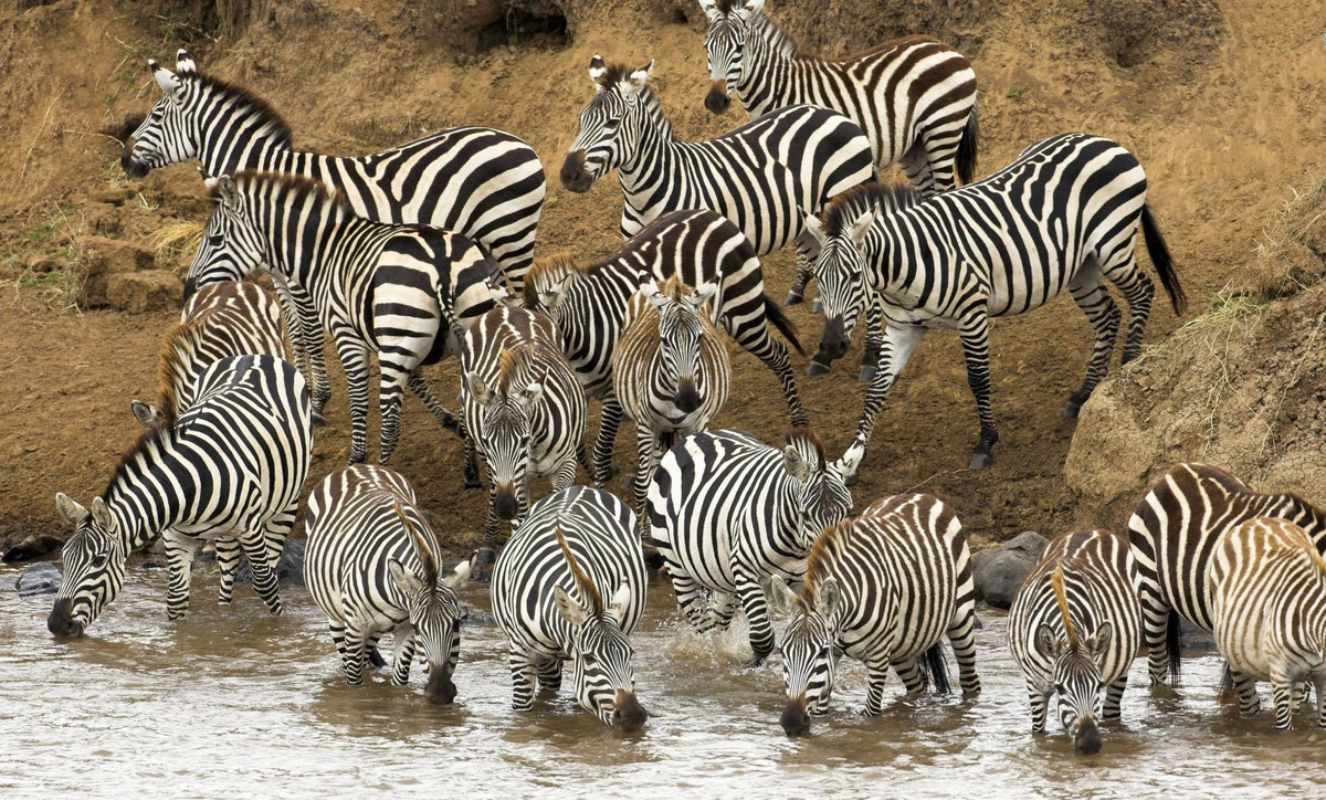 В глазах рябит...