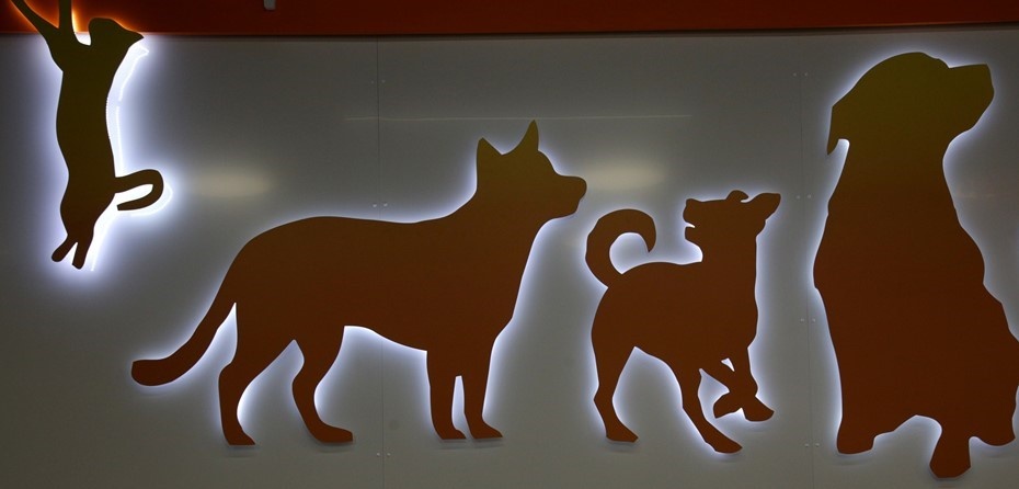    Автор фото: Антон Ваганов