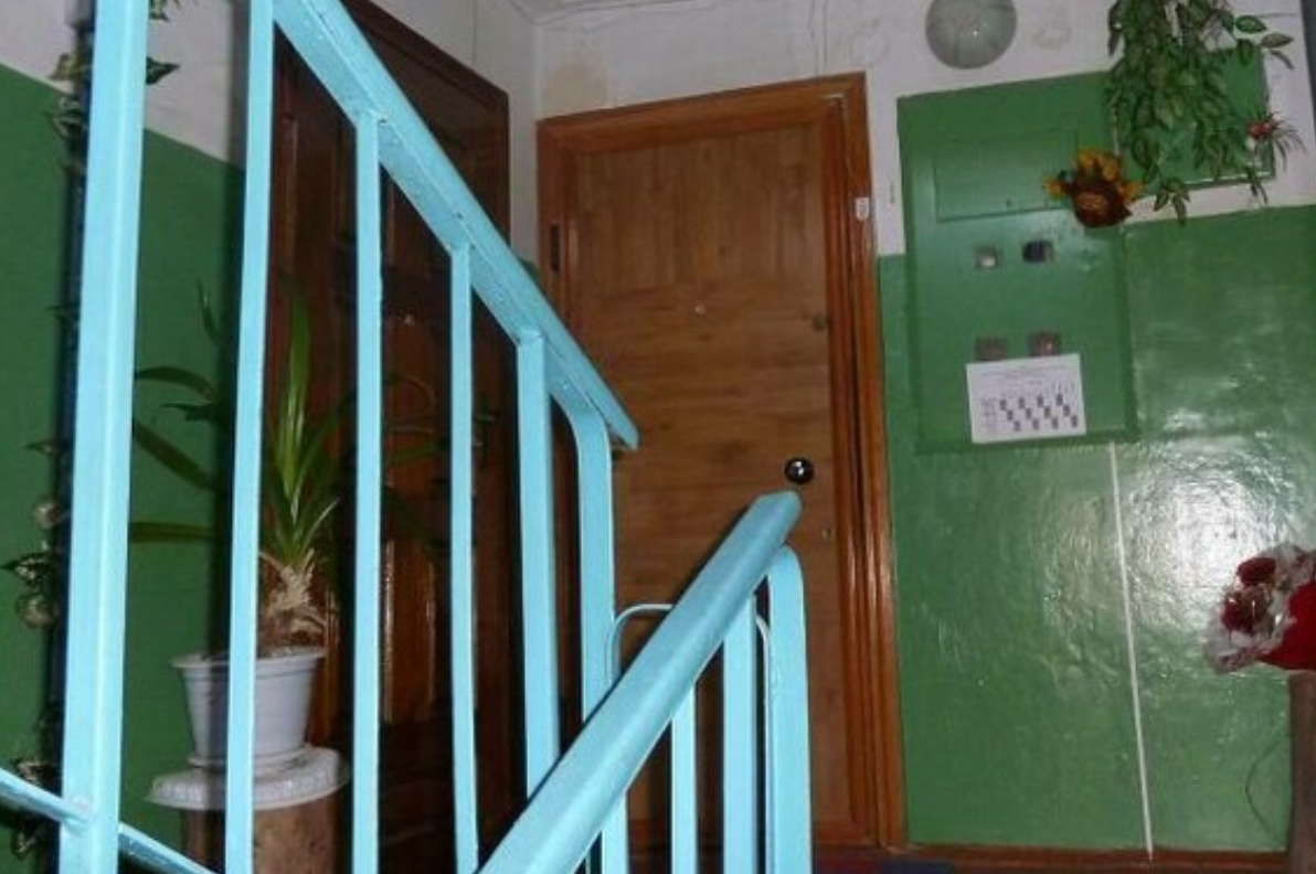 Фото носит иллюстративный характер: открытые источники