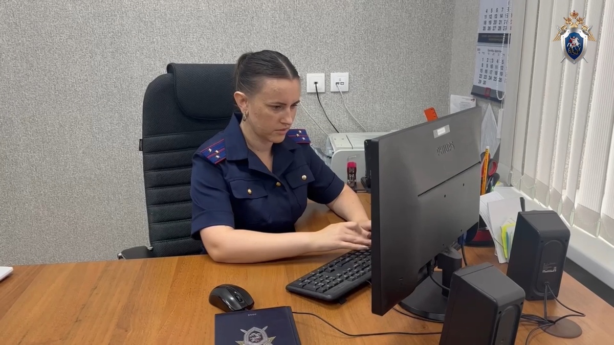    HD уголовное дело следователь