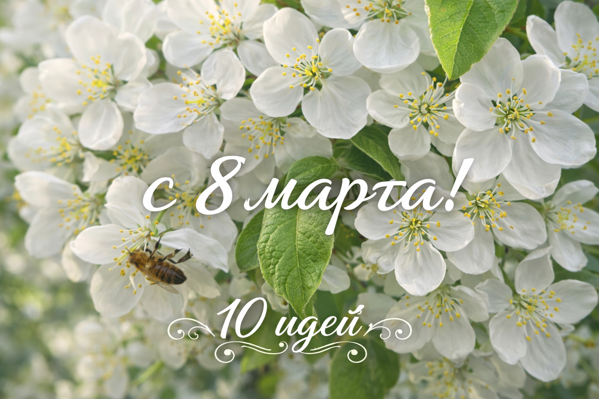 10 самых красивых и удивительных видео подарков на 8 марта. Как поздравить коллег с 8 марта в офисе.