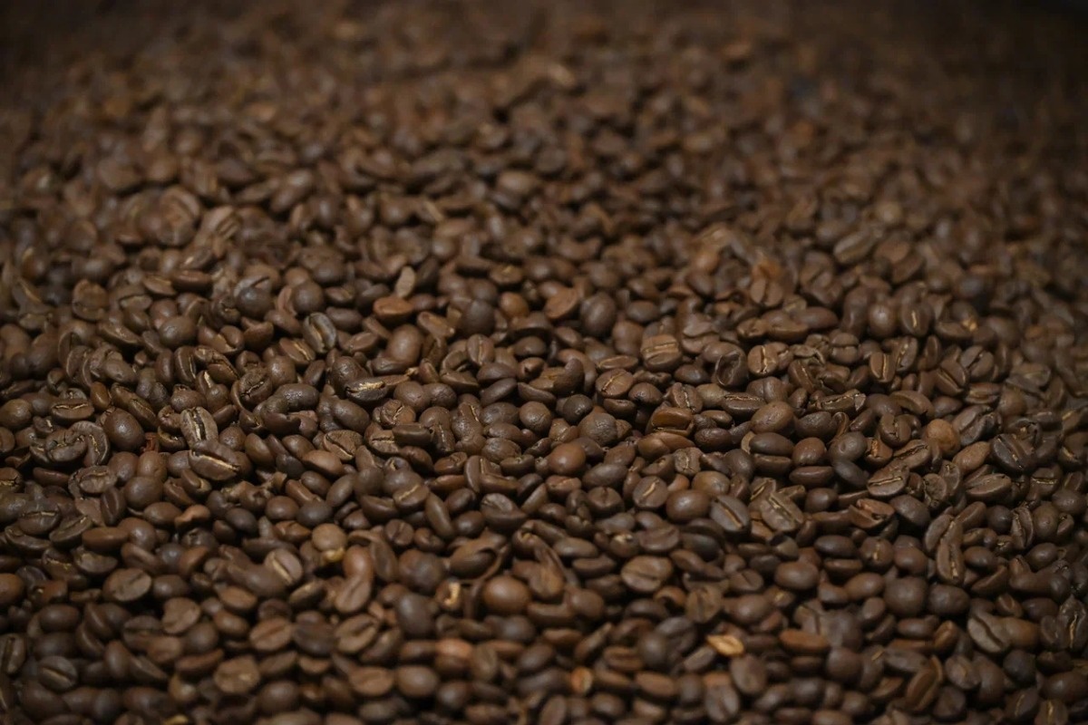    Фото: Анастасия Сибирякова