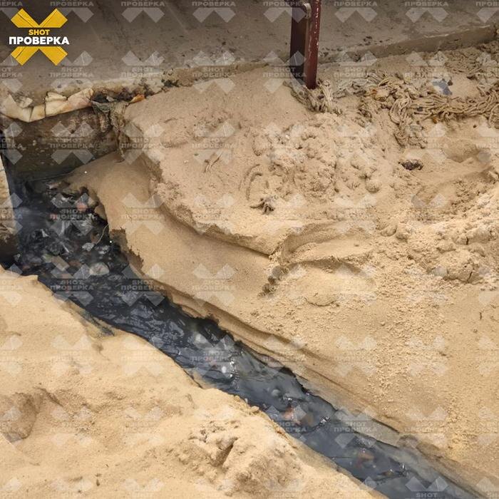 Фото © Telegram / SHOT ПРОВЕРКА