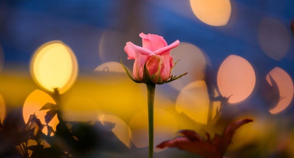    медиасток.рф