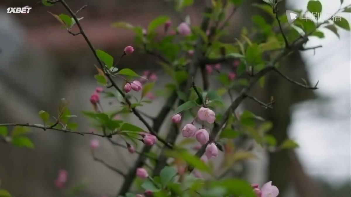 Кадр из дорамы "Дочь наложницы. История Мин Лань". 