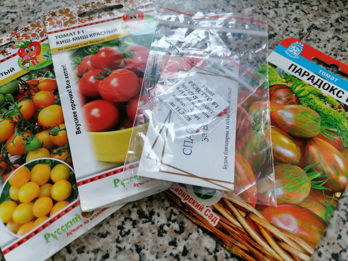 Эти 4 сорта черри буду сажать, фото автора