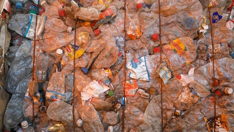      Фото: ИА «Победа26»