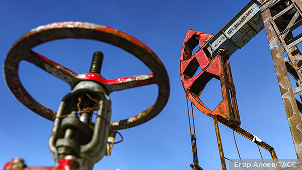     Фото: Егор Алеев/ТАСС   
 Текст: Дмитрий Зубарев