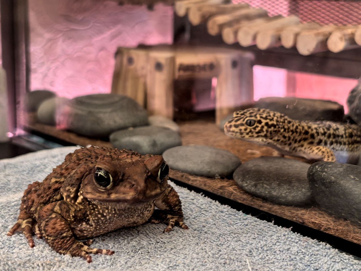    Фото из архива Вячеслава Гуськова