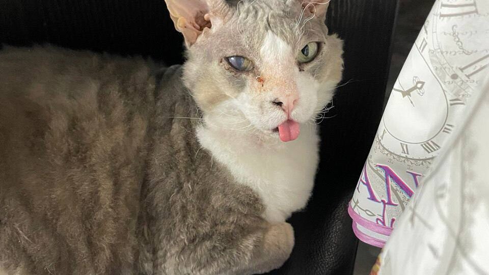 Такой домашний привет от наших ребят