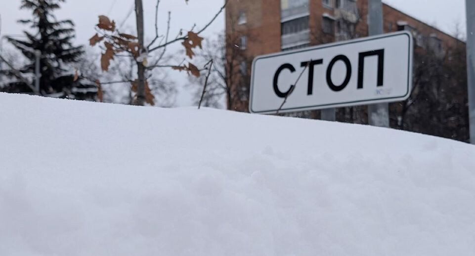    Антон Селянин