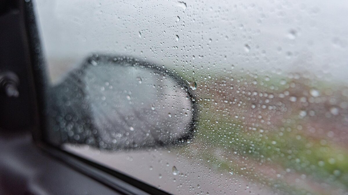    Фото: freepik.com/Mateus Andre