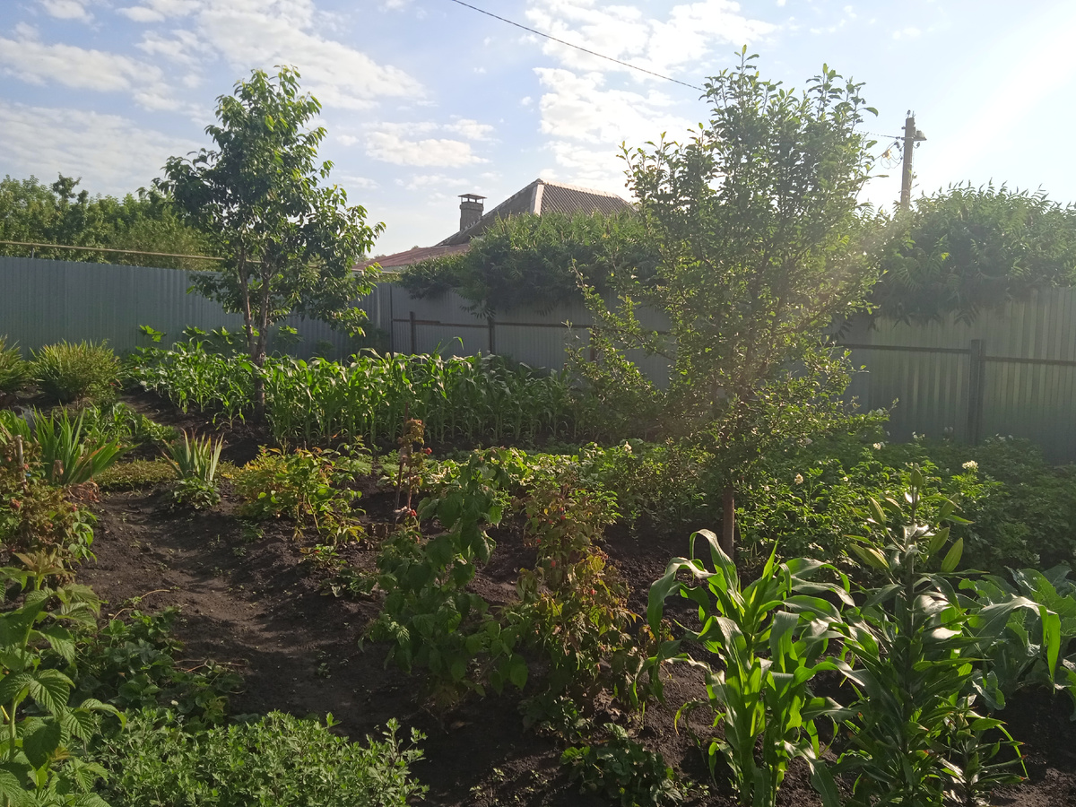 Отлично всё Растёт.