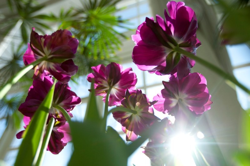 Фото - музей-заповедник Царицыно