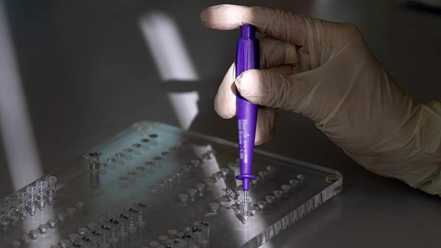    Фото: ТАСС/Иван Юдин