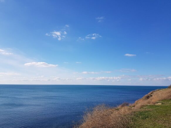    Элина Болдырева