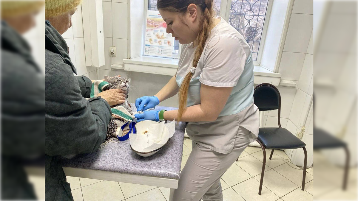 Фото: t.me/vetirk38