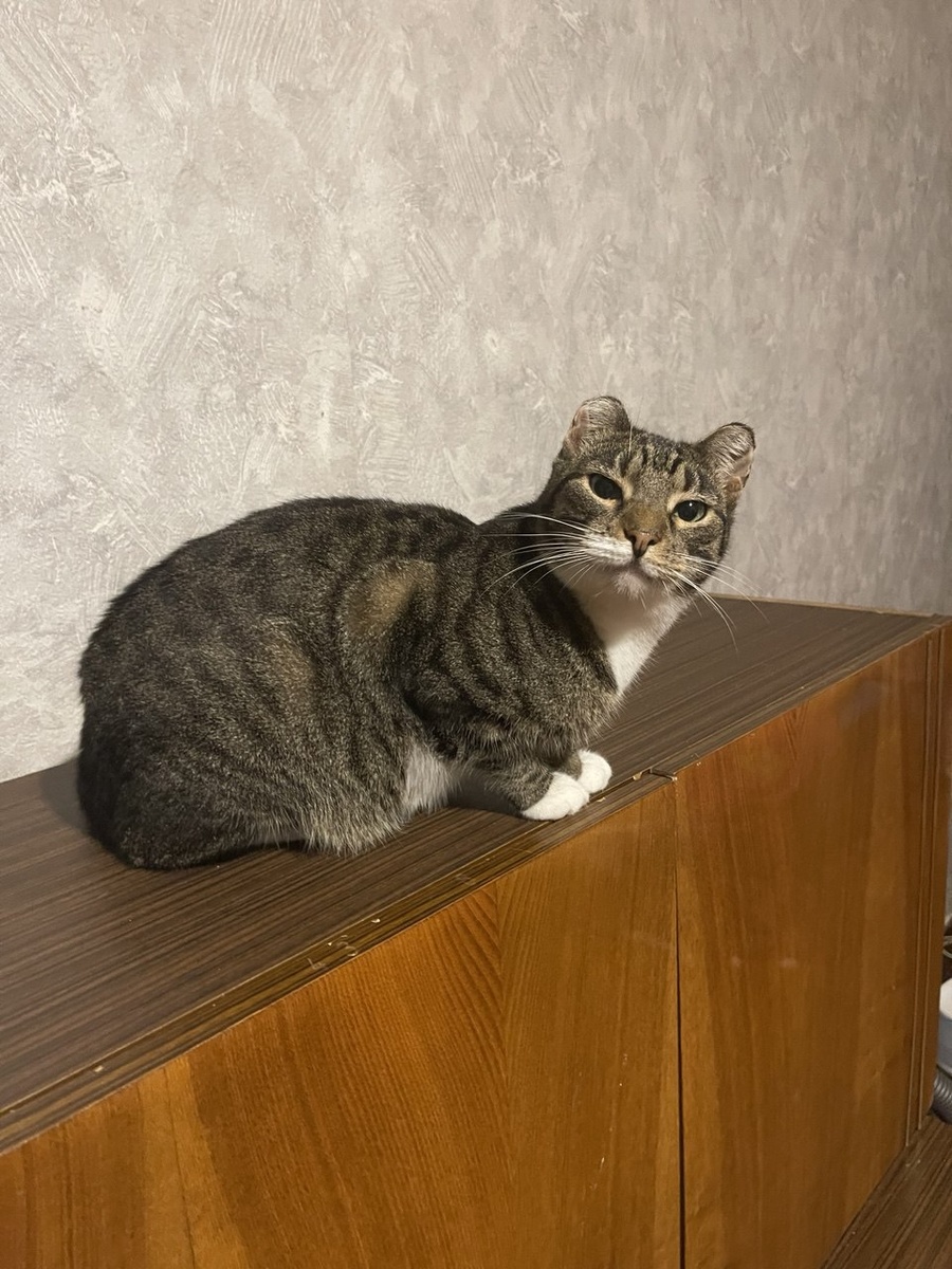 Я чувствовала, что я тут ненадолго