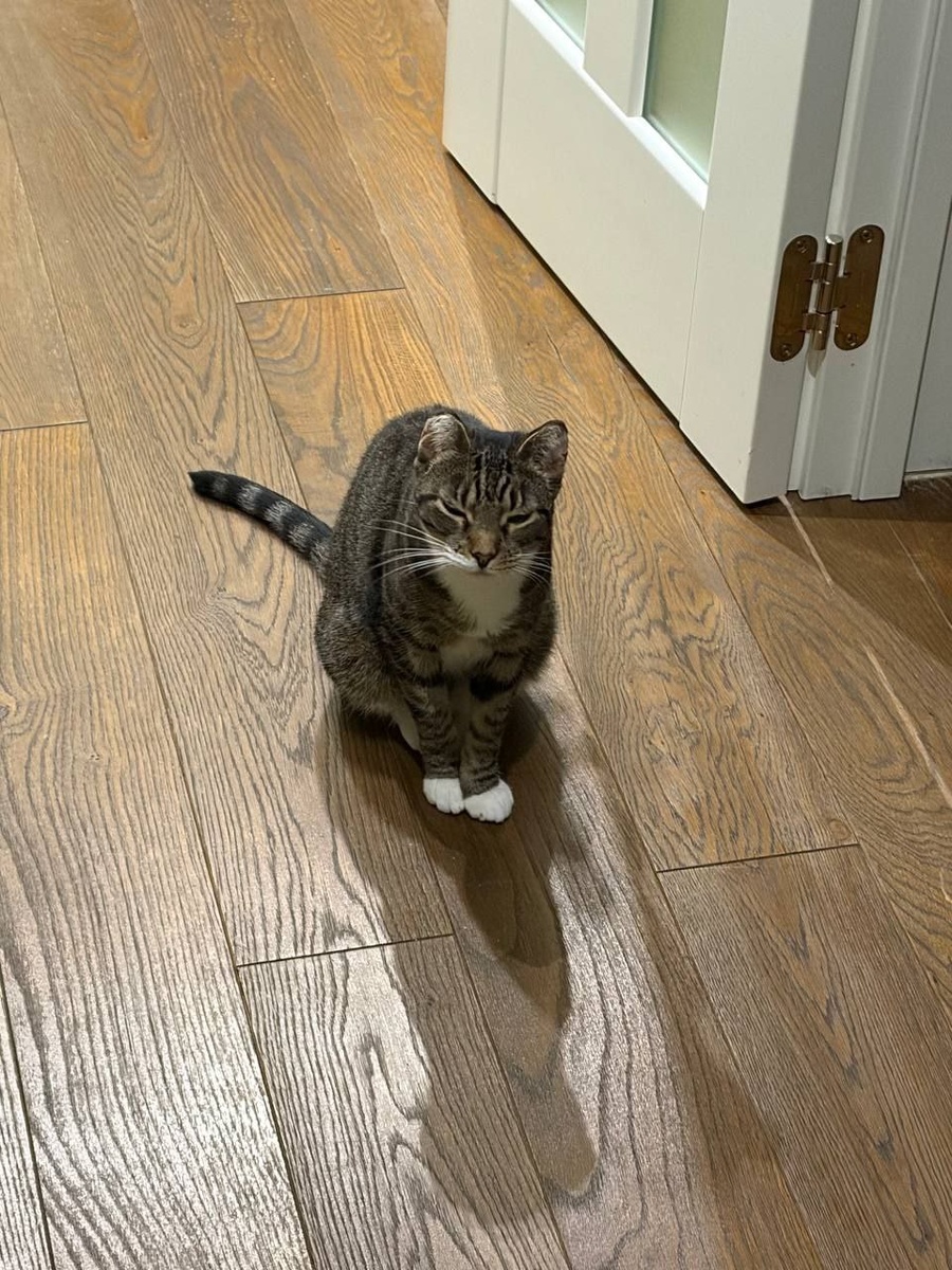 Дома хорошо