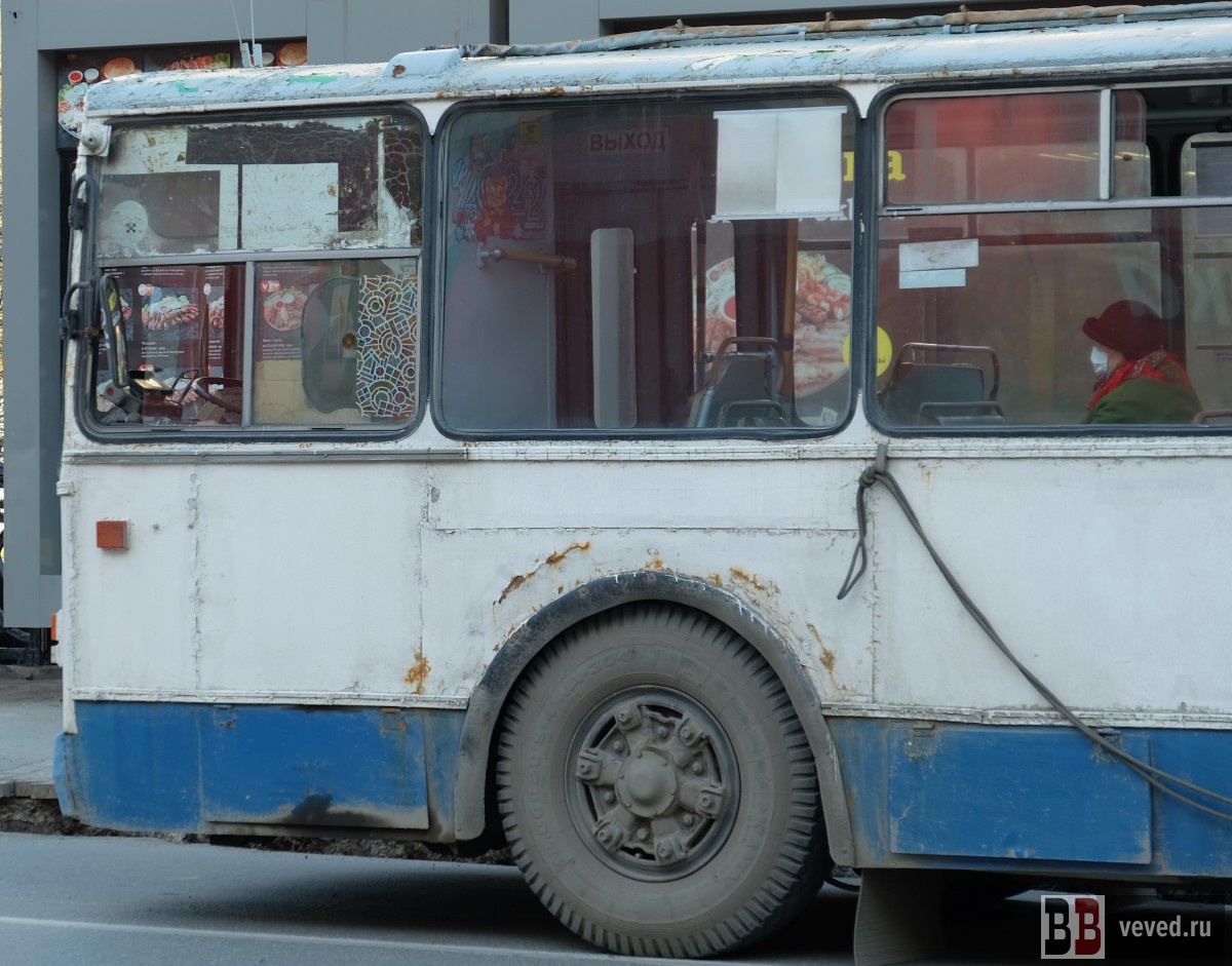     Фото: Владислав Постников / Вечерние ведомости