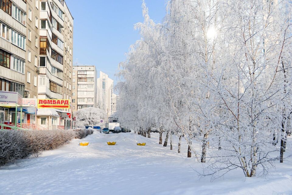    Недвижимость. Барнаул. Зима. Источник: Виталий Барабаш / СИ "Толк"