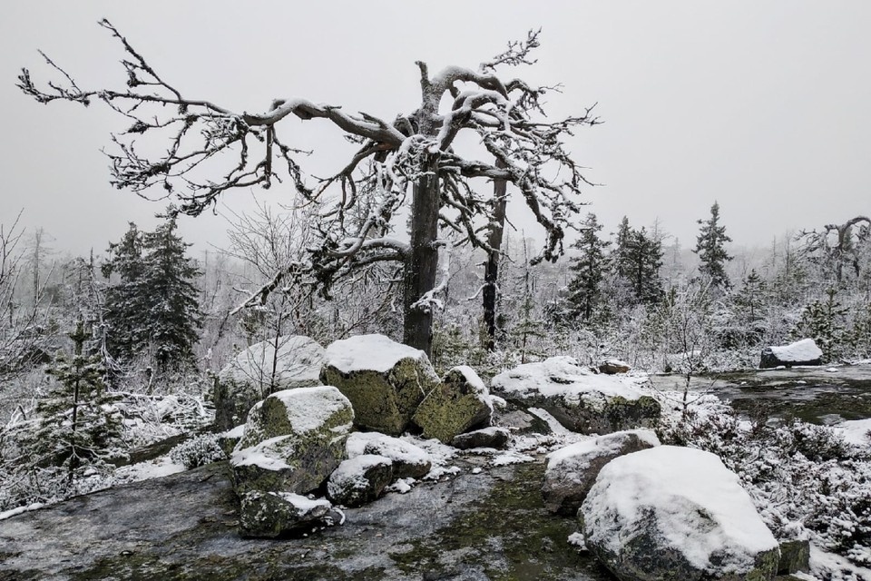    Вход в национальный парк будет стоить 300 рублей. Фото: Национальный парк «Воттоваара»
