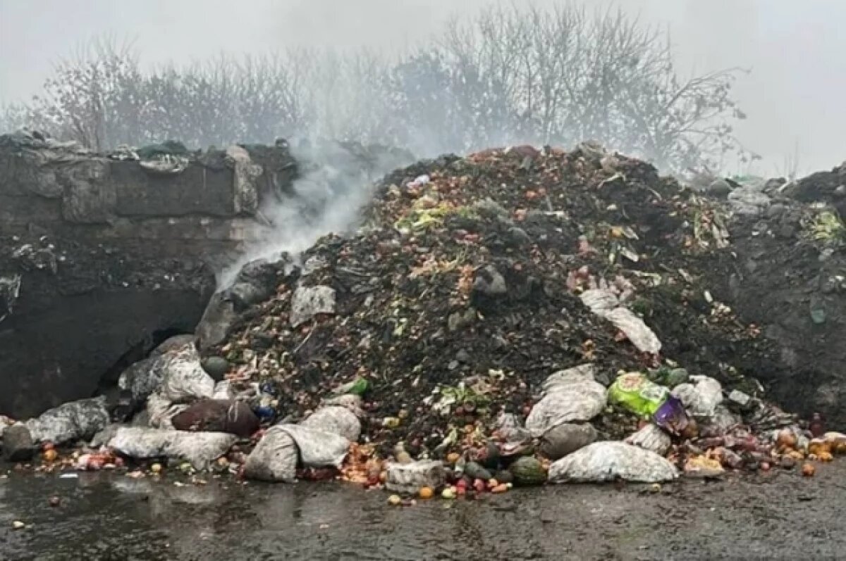    В Удмуртии оштрафовали бизнесмена, незаконно сжигавшего отходы