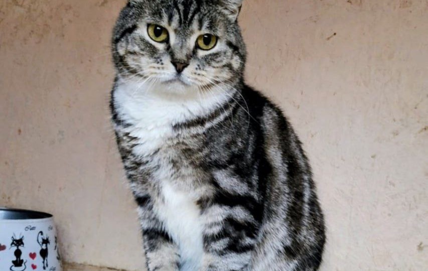 🐾🥣 Четверг - день, когда мы снова просим о помощи.