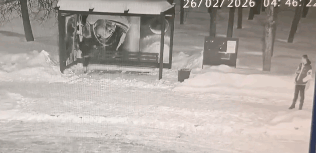    Фото: скриншот видео