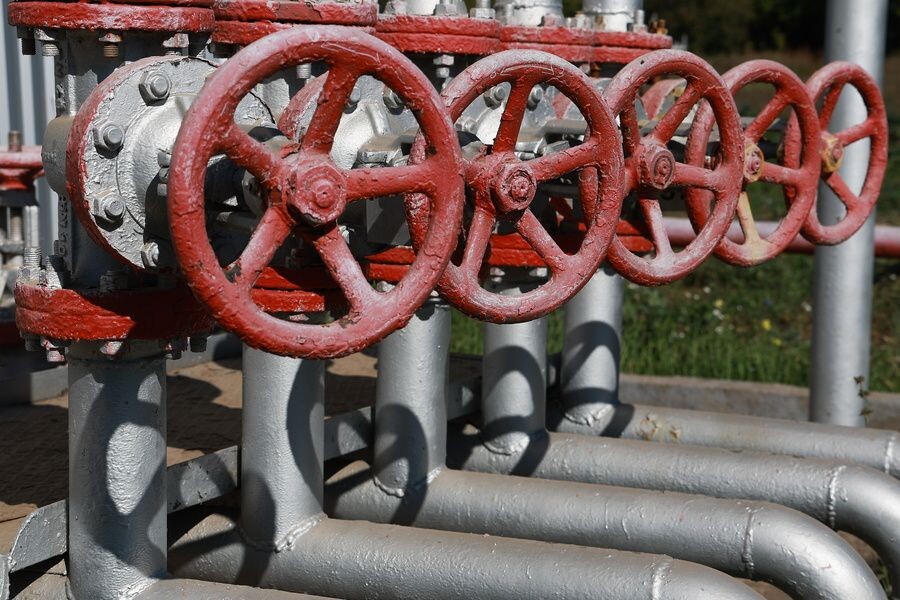     / Источник: © Егор Алеев/ТАСС