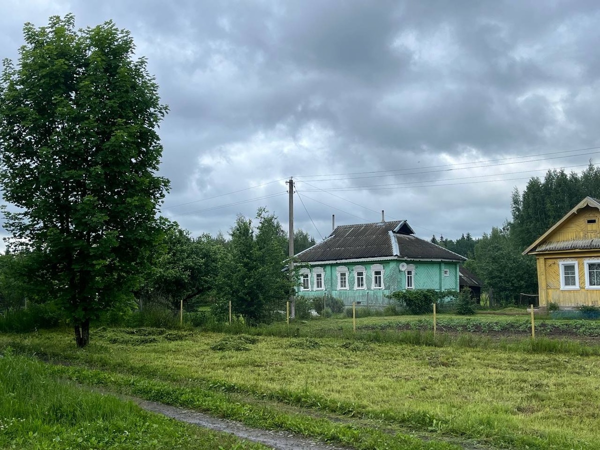     Фото: МК в Питере