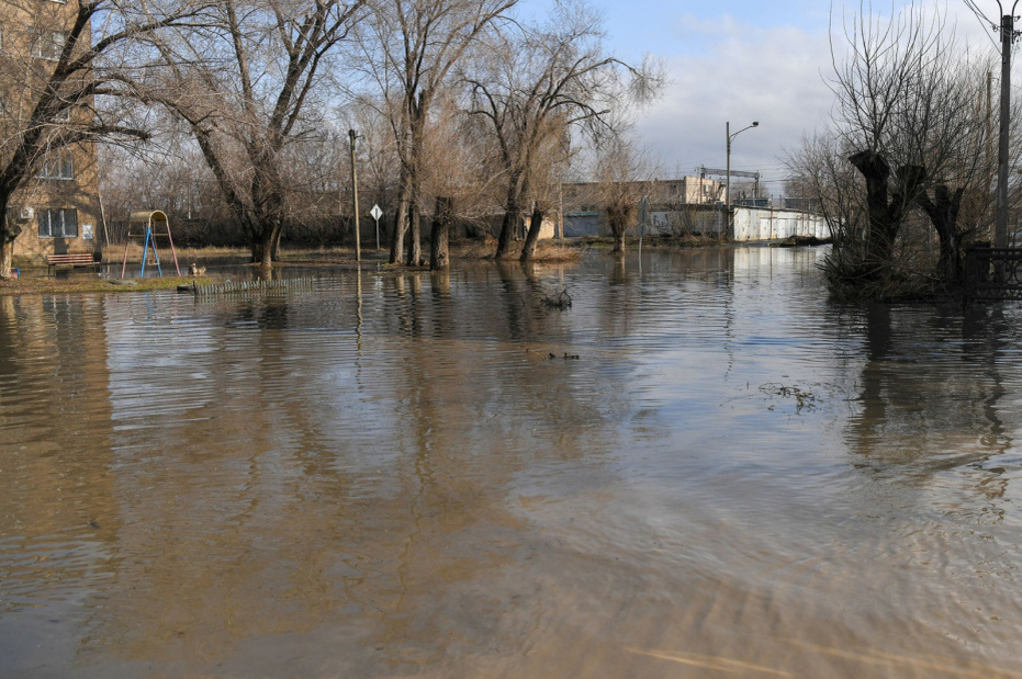    Сергей Никифоров/NEWS.ru